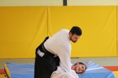 Stage-jeunes-a-Auch-le-3101202699_733