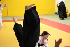 Stage-jeunes-a-Auch-le-3101202699_783