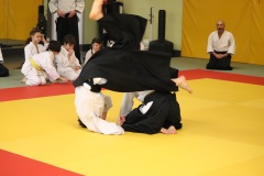 Stage-jeunes-a-Auch-le-3101202699_803