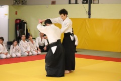 Stage-jeunes-a-Auch-le-3101202699_810