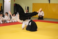 Stage-jeunes-a-Auch-le-3101202699_814