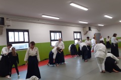 stage-anime-par-Henri-Avril-a-saint-Jean10024