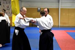 Photos-stage-a-Tournefeuille-anime-par-JF.Fabre-6eme-dan-0161