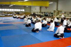 Photos-stage-a-Tournefeuille-anime-par-JF.Fabre-6eme-dan-0169B