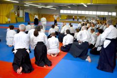 Photos-stage-a-Tournefeuille-anime-par-JF.Fabre-6eme-dan-0171