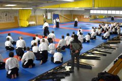 Photos-stage-a-Tournefeuille-anime-par-JF.Fabre-6eme-dan-0173