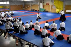 Photos-stage-a-Tournefeuille-anime-par-JF.Fabre-6eme-dan-0177