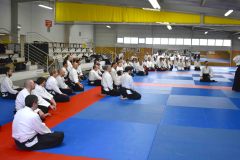 Photos-stage-a-Tournefeuille-anime-par-JF.Fabre-6eme-dan-0180