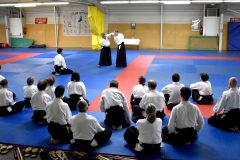 Photos-stage-a-Tournefeuille-anime-par-JF.Fabre-6eme-dan-0183
