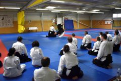 Photos-stage-a-Tournefeuille-anime-par-JF.Fabre-6eme-dan-0193