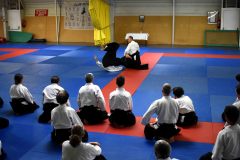 Photos-stage-a-Tournefeuille-anime-par-JF.Fabre-6eme-dan-0197