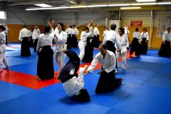Photos-stage-a-Tournefeuille-anime-par-JF.Fabre-6eme-dan-0204