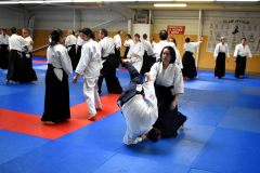 Photos-stage-a-Tournefeuille-anime-par-JF.Fabre-6eme-dan-0207