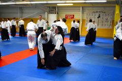 Photos-stage-a-Tournefeuille-anime-par-JF.Fabre-6eme-dan-0210