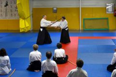 Photos-stage-a-Tournefeuille-anime-par-JF.Fabre-6eme-dan-0242