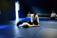 Stage-cohesion-19-20102024-232