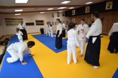 Stage-Aikido-interclubs-du-Tarn-07122024018