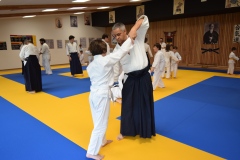 Stage-Aikido-interclubs-du-Tarn-07122024031