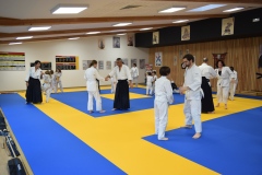 Stage-Aikido-interclubs-du-Tarn-07122024048