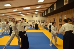 Stage-Aikido-interclubs-du-Tarn-07122024053