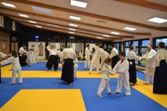 Stage-Aikido-interclubs-du-Tarn-07122024098