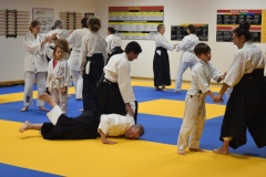 Stage-Aikido-interclubs-du-Tarn-07122024167