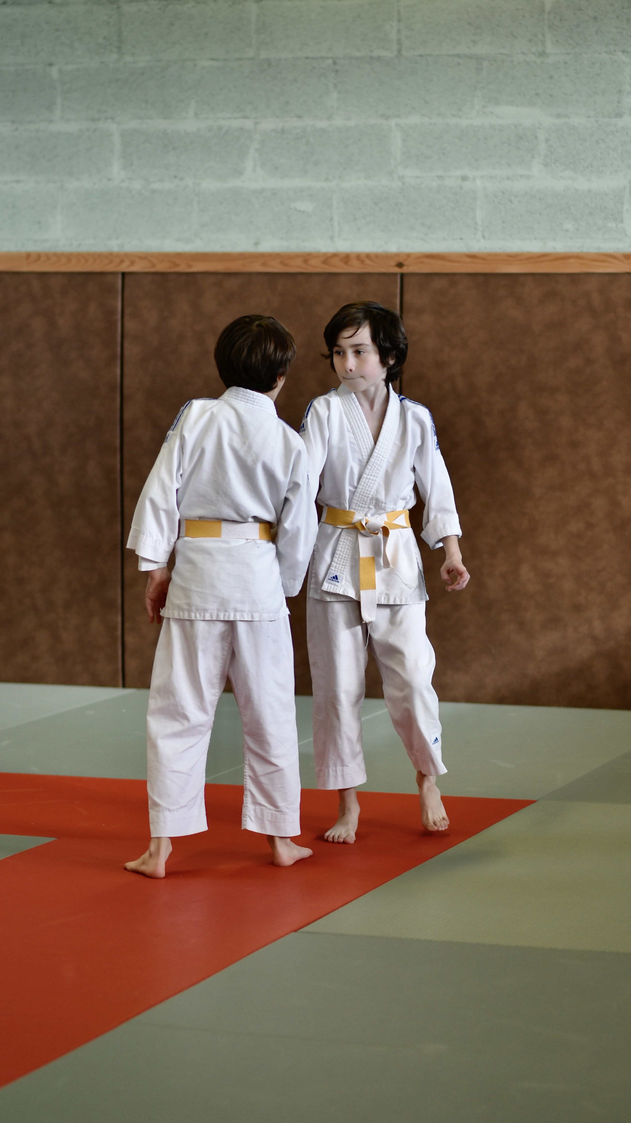 Stage-Jeunes-a-Fonsorbes-le-03022024312
