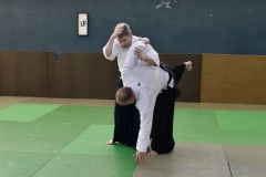 Stage-Aikido-St-Lizier-24112024527
