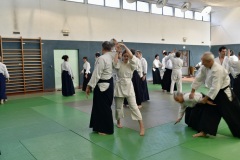 Stage-Aikido-St-Lizier-24112024548