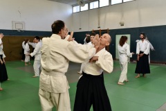 Stage-Aikido-St-Lizier-24112024578