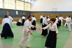 Stage-Aikido-St-Lizier-24112024796