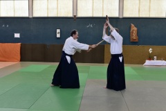 Stage-Aikido-St-Lizier-24112024820